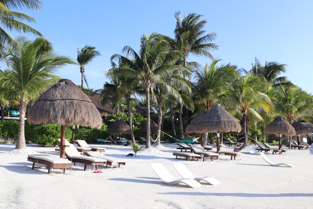 Discovering Paradise at Barceló Puerto Vallarta